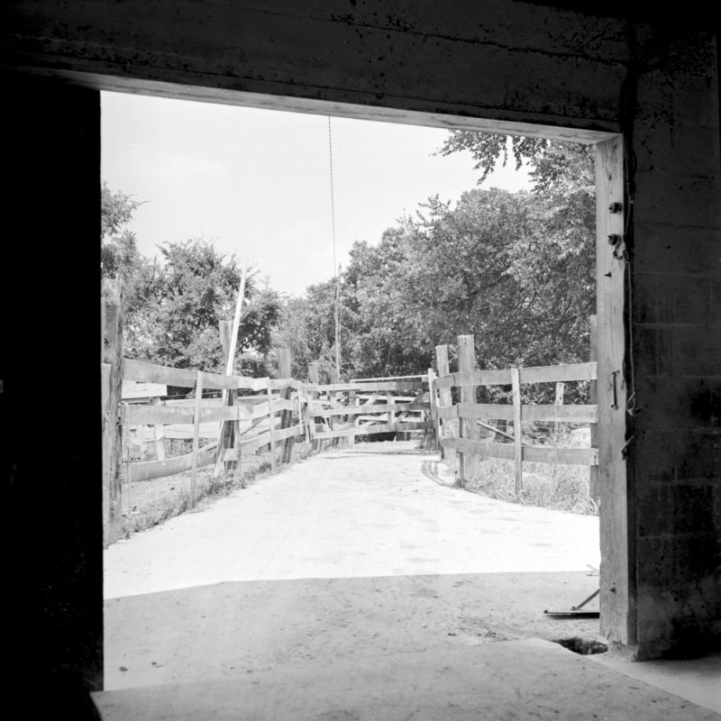 036_and out the door she goes. (1951).jpg